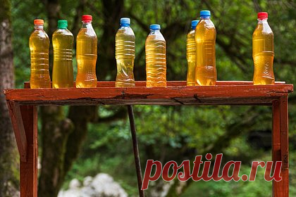 Число отравившихся чачей в Краснодарском крае выросло