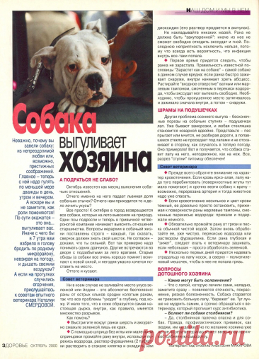Советы ветеринара