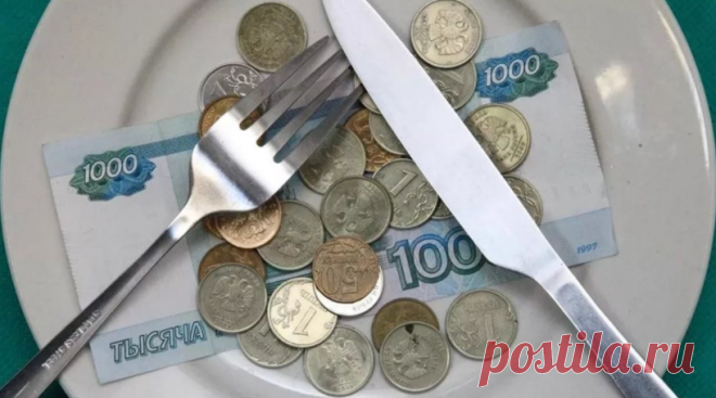 Можно ли в России жить в 2021 году на прожиточный уровень? Будем выживать и подерживать существование | Блоггерство на пенсии | Яндекс Дзен