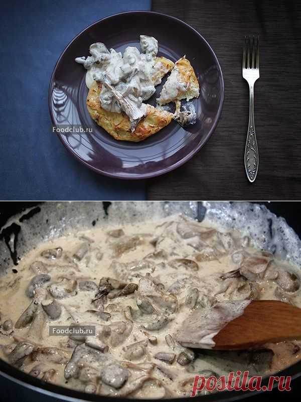 Вкусные драники со сметано-грибным соусом