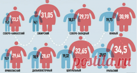 Социологи назвали самый «толстый» регион России