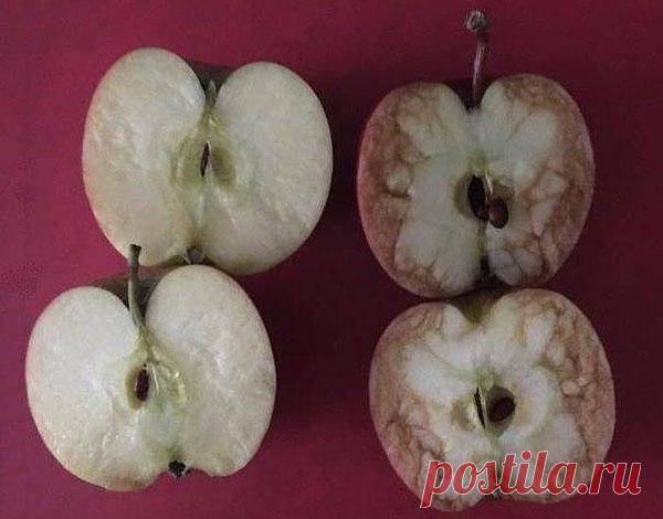 Урок на всю жизнь или почему нельзя обижать других