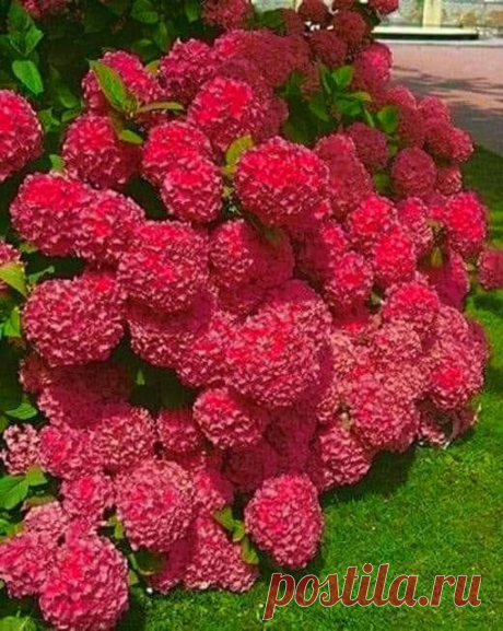 Группы | Facebook
