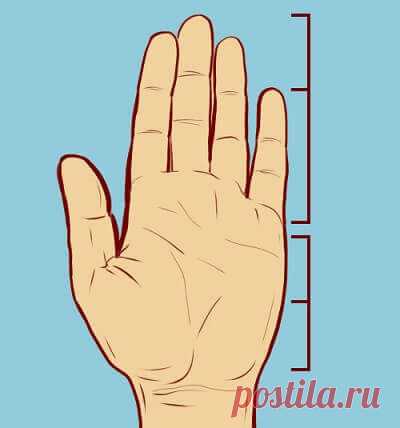 Ладонь гения
