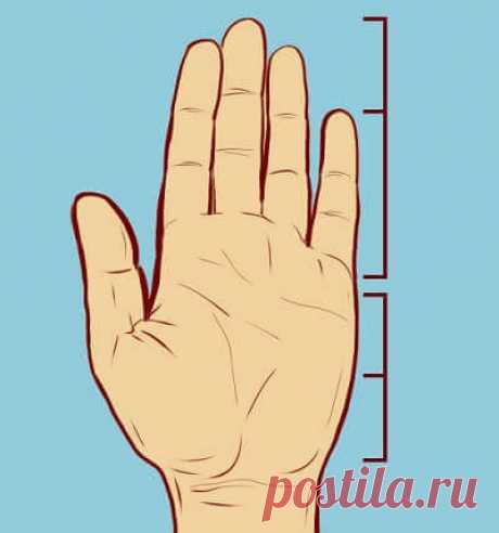 Ладонь гения