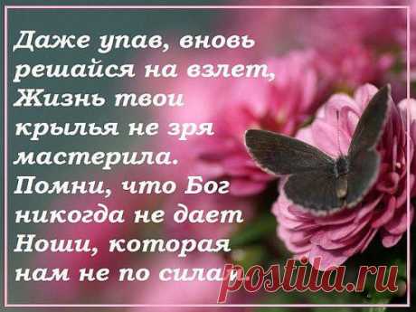 (7) Одноклассники