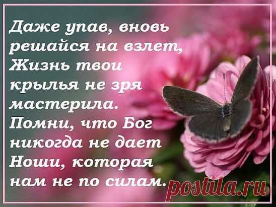 (7) Одноклассники