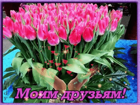 Друзьям моим желаю просто счастье - Плейкасты