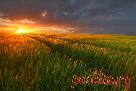 Лидия Апкаликова – Google+
