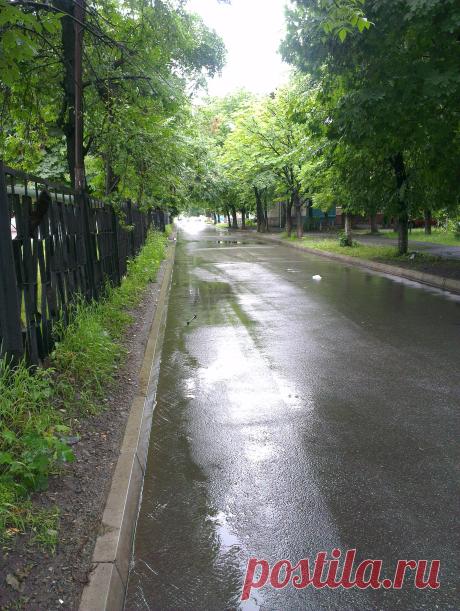 По дороге в школу ...