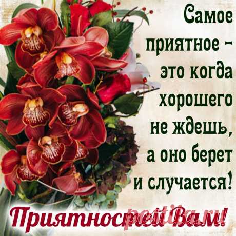 Отличного дня и бодрого настроения! Улыбок, радости и успеха в работе. Пусть хорошее настроений тебя не покидает!