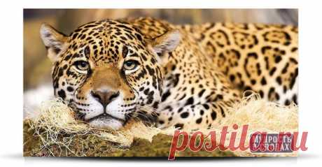 Свобода - это не то, что вам дали. Это - то, что у вас нельзя отнять.
© Вольтер