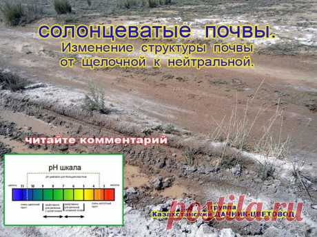 борьба с солончаками
