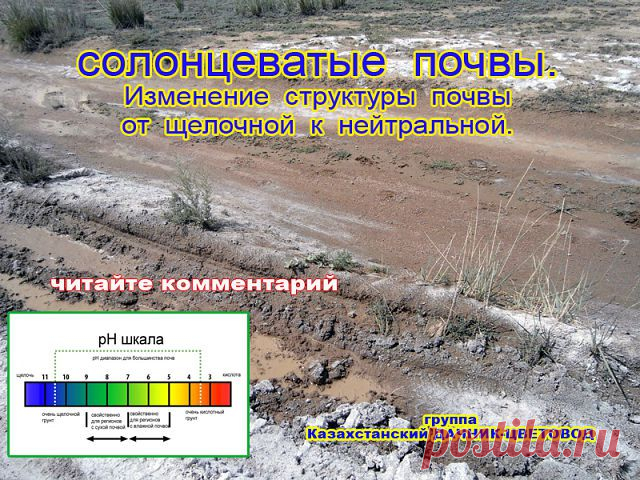 борьба с солончаками