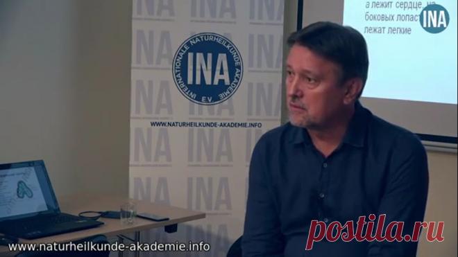 В какое время лучше есть. Прикладная кинезиология