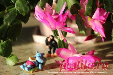 Слово из песни не выбросить.