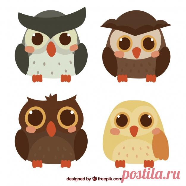 Смазливая коллекция мультяшных совов Более миллиона свободных векторов, PSD, фотографии и бесплатные иконки. Эксклюзивные халявы и все графические ресурсы, которые необходимые для ваших проектов