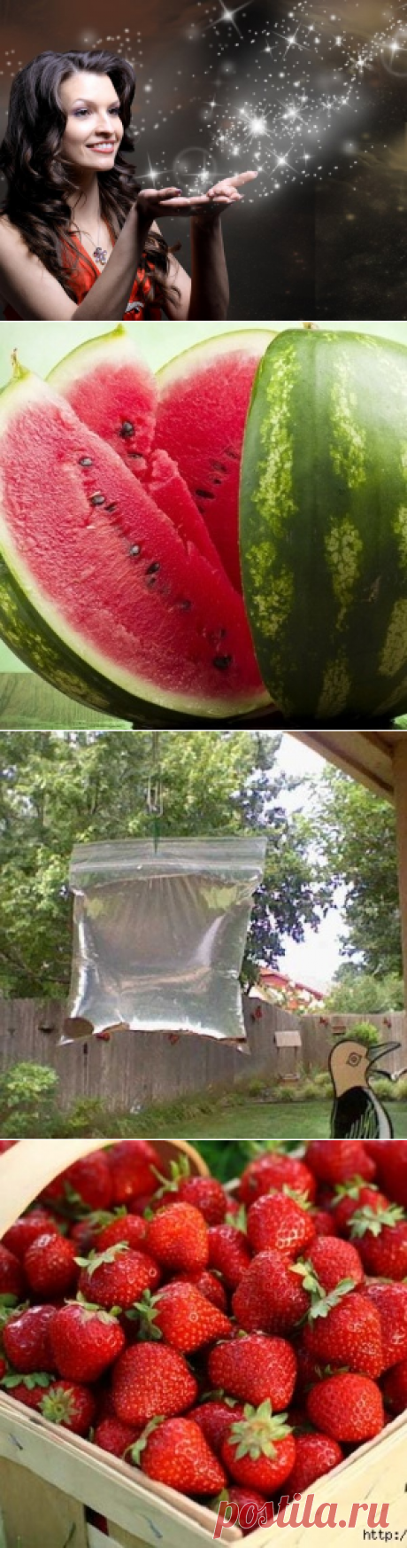 Сильные заговоры на желания перед сном на все случаи жизни ...