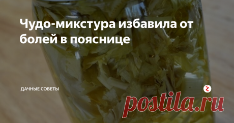 Чудо-микстура избавила от болей в пояснице Думаю, что радикулитом к старости начинают страдать если не все, то очень многие. Я как раз из числа тех, кого мучили боли в пояснице. С каждым годом двигаться было все тяжелее, а боль становилась все сильнее. Надо было срочно предпринимать какие-то меры.
Тогда-то я и нашел народное средство, которое избавило меня от страданий. Этим лекарством оказалась микстура из корня сельдерея. Рассказала мне