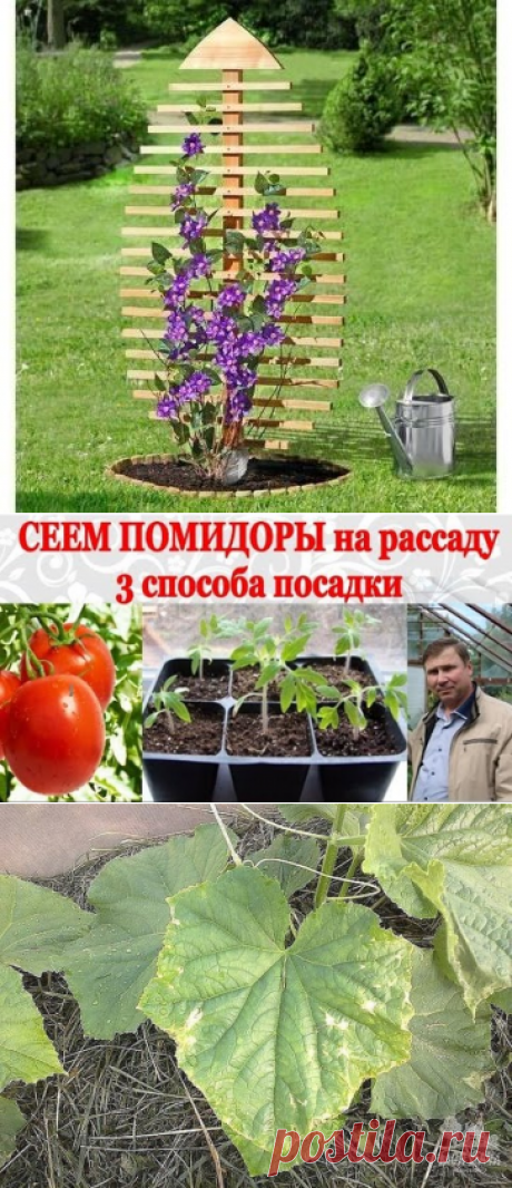 (99) Одноклассники