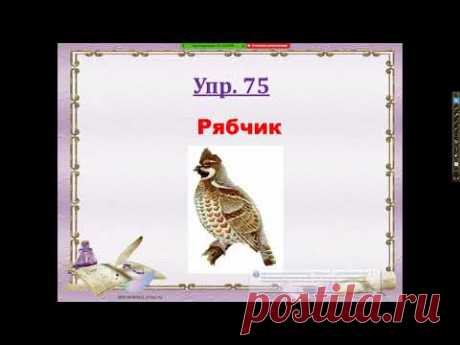 Работа с приложением Zoom для учителей