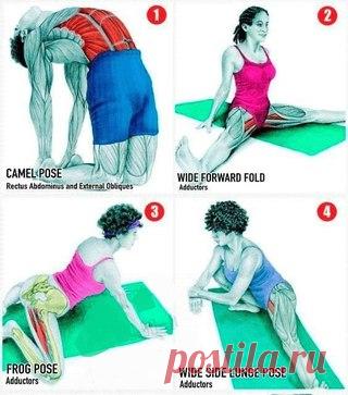 Полная растяжка всех мышц!

Сохраните себе обязательно