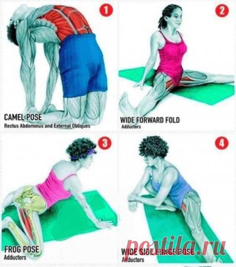 Полная растяжка всех мышц!
Сохраните себе обязательно