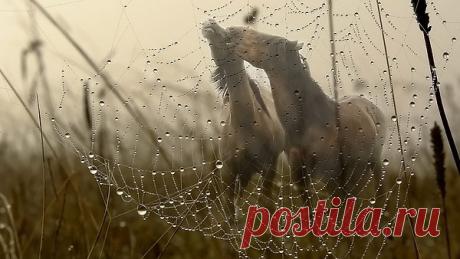 Интересные новости