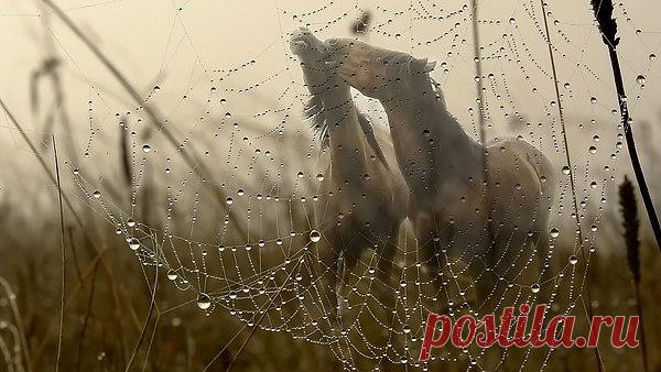 Интересные новости