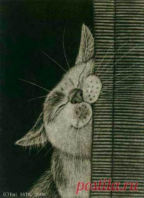 Самые милые нарисованные котики