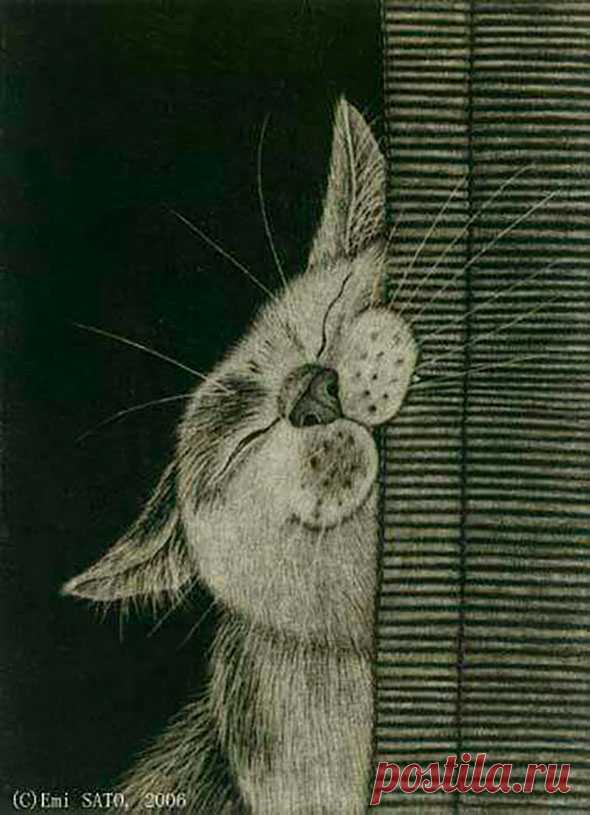 Самые милые нарисованные котики