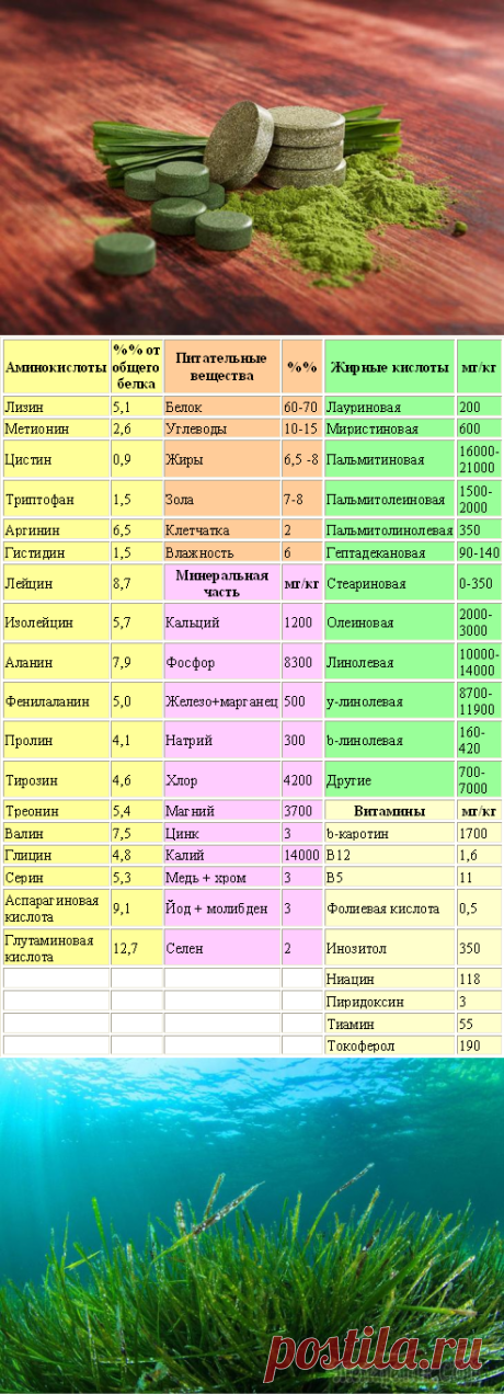 Откройте для себя уникальные целебные свойства спирулины