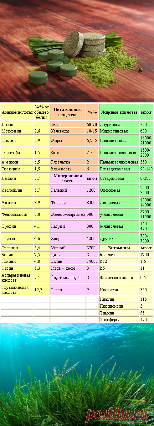 Откройте для себя уникальные целебные свойства спирулины