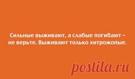 Прикольные открытки для любителей юмора (20 шт)