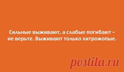 Прикольные открытки для любителей юмора (20 шт)