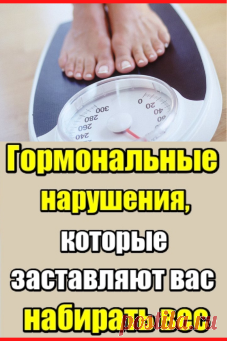 Гормональные нарушения, которые заставляют вас набирать вес
#похудение #диета #гормоны #как_похудеть #убрать_живот #похудеть #похудеть_быстро #советы #полезные_советы #жизненные_советы