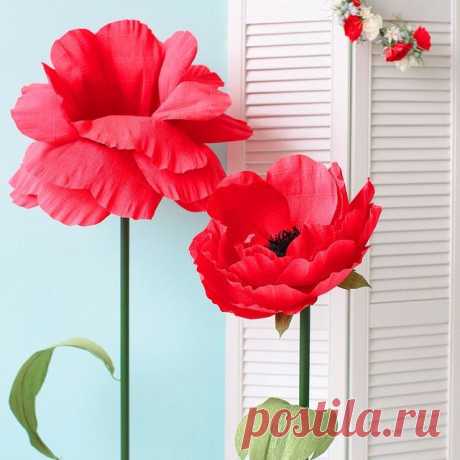 А вот и еще маки:) И на этот раз большие. #маки#бумажныемаки#бумажныецветы#paperflowers#paperpoppies#декорфотосессий#оформлениепраздников#бумажныецветыаренда#фотодекор#идеядляфотосессий