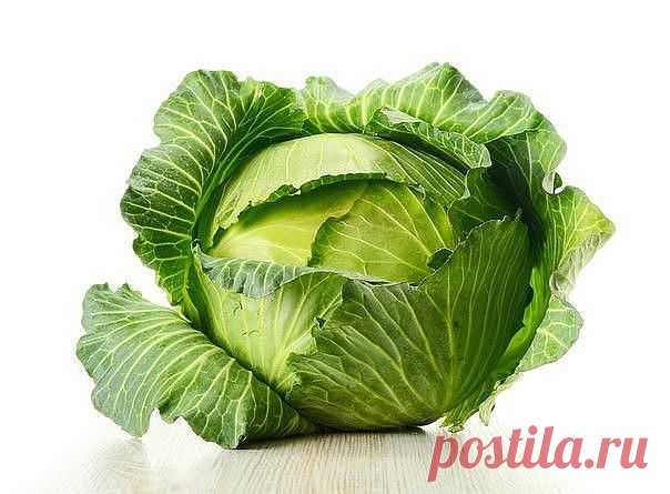 От кашля - лист капусты на грудь
Если кого-то из членов моей семьи начинает донимать кашель, никогда не покупаю в аптеке лекарства, а лечу так. Беру капустный лист, опускаю его на 1-2 минуты в кипящую воду, затем намазываю медом и накладываю на грудь (при сильном кашле - два капустных листа, один на грудь, второй - на спину). А наутро почти ничего не остается. Вместе с медом он впитывается в кожу, оказывает целебное действие. 3-5 ночей - и простудного кашля как не бывало.