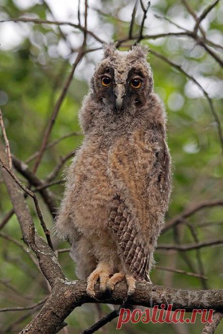 «Подросток». Автор фото – Марс Шангареев: