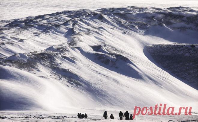 Reuters узнал об опасениях Запада из-за станции Китая в Антарктиде. В США подозревают, что новая китайская научная станция даст стране новые возможности для шпионажа — перехвата сообщений и др., но Пекин обвинения отвергает. Пентагон видит в действиях Китая плацдарм для ресурсных притязаний