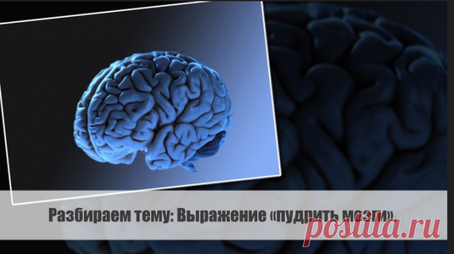Разбираем тему: Выражение «пудрить мозги»
