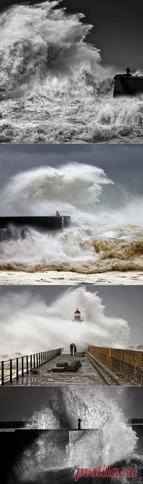 Ярость стихии: штормовые волны - Наука и жизнь