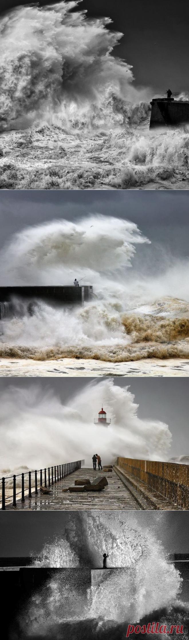 Ярость стихии: штормовые волны - Наука и жизнь