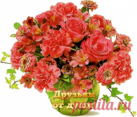 За друзей и дружбу!!!