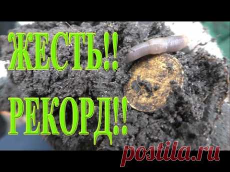 Снова выехали сегодня в лес, который весь сезон 2021 и конец прошлого сезона радовал находками. Снова в деле Эквинокс 800 и XP ORX! Каждый раз, когда едешь в место, где прошлые разы было много хабара, есть сомнения, что снова повезёт! Но сегодня дедушка Хабар решил наградить нас по полной! Очередной рекорд сезона копа 2021! Это немыслимо, сколько тут еще есть монет и артефактов! Как это было? Приятного просмотра!