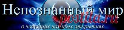 Разгадана тайна "кладбища вампиров" в Польше | Непознанный мир
В Польше нашли "кладбище вампиров", на котором в 17-18 веках были захоронены местные жители с серпом на шее и камнем под подбородком - жертвы эпидемии холеры.