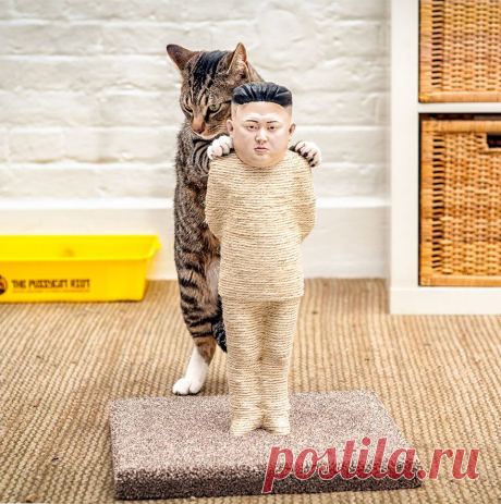 Когтеточки в виде Путина и Ким Чен Ына (5 фото) | Корея
