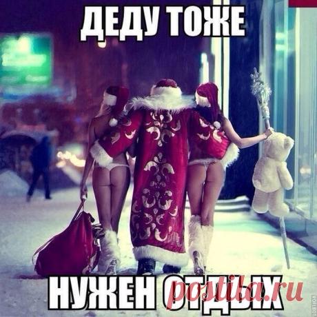 Подборка картинок с подписями для хорошего настроения;)