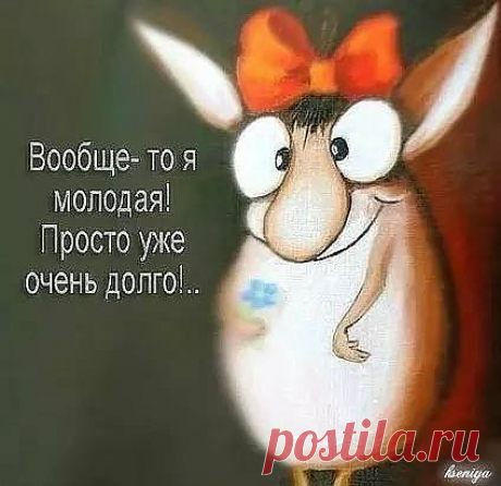 (48) Facebook