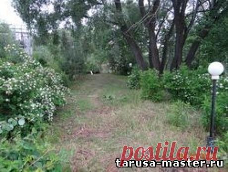 Недвижимость в г. Таруса, Тарусском районе. - д. Хрущево, земельный участок 1 га под усадьбу * 3 млн. руб.